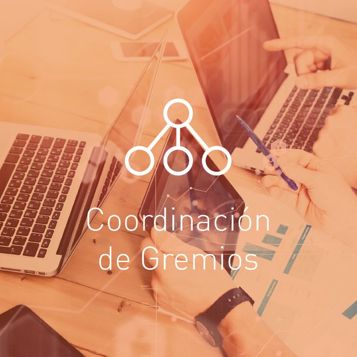 Coordinacin de Gremios