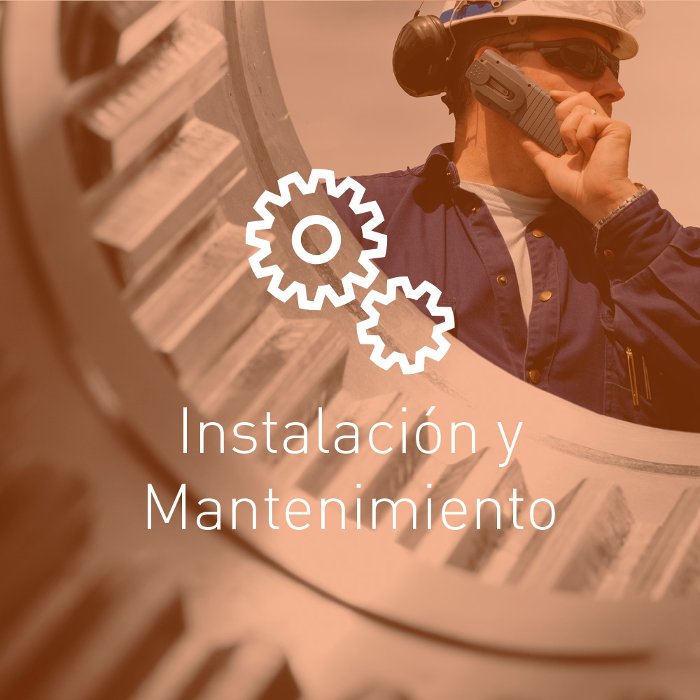 Instalacion y Mantenimiento